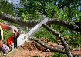 Best Lawn Watering Services  in Mount Washington, KY