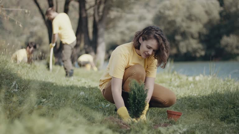 Best Lawn Pest Prevention  in Mount Washington, KY