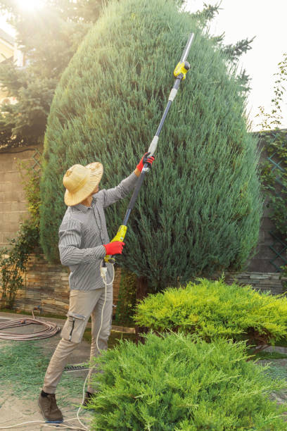 Lawn Maintenance Plans in Mount Washington, KY